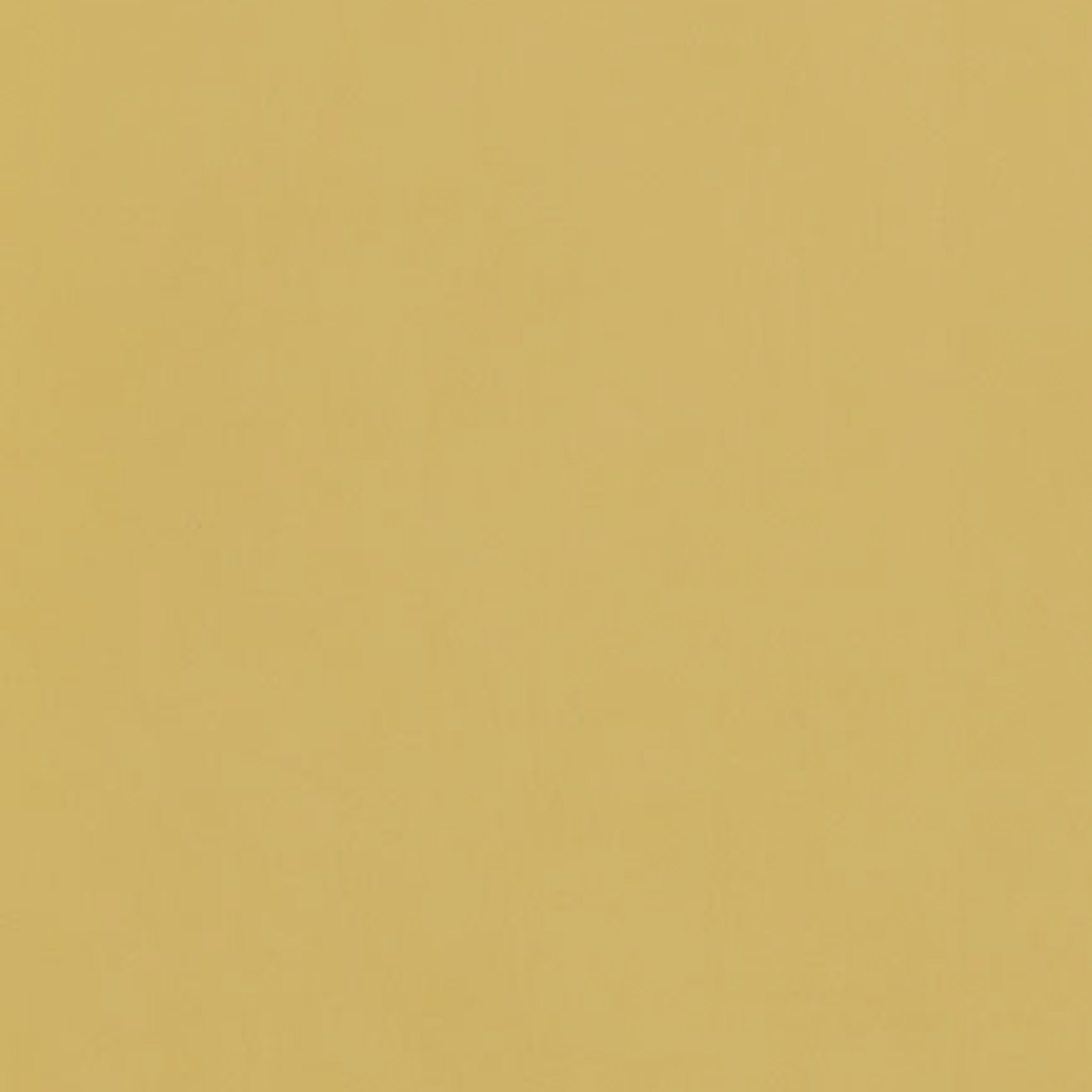 TOGIDASHI 左官材料 FT05