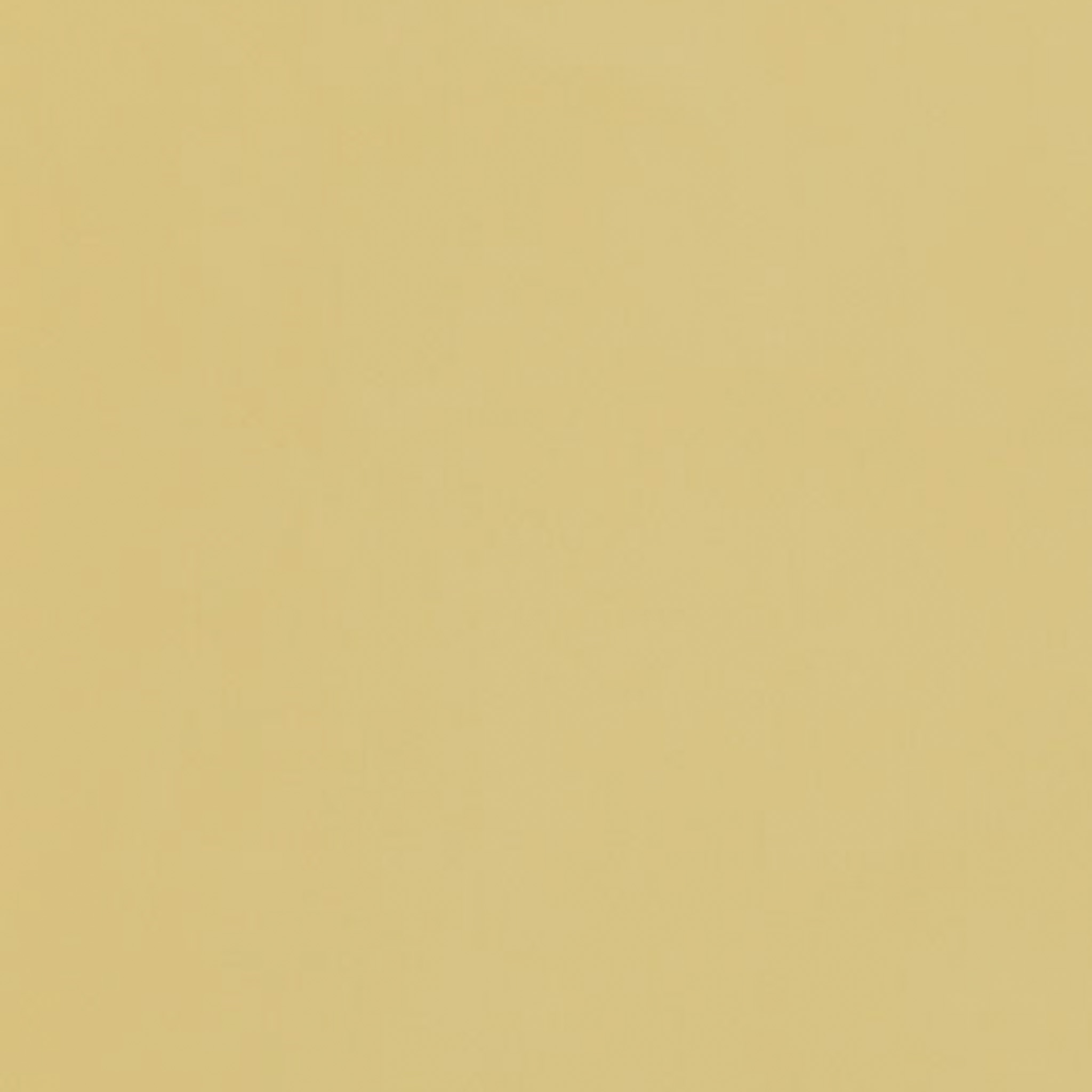 TOGIDASHI 左官材料 FT06