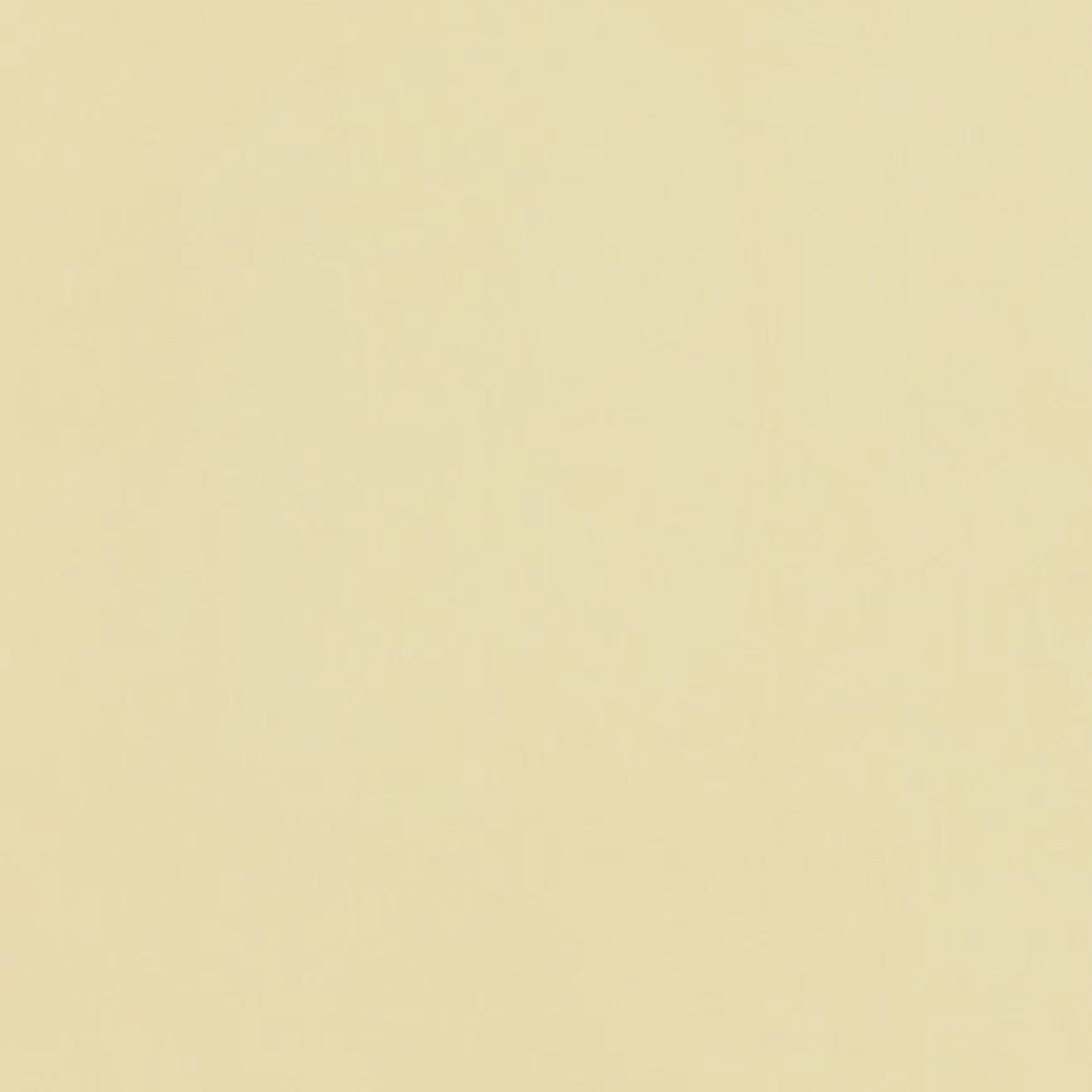 TOGIDASHI 左官材料 FT07