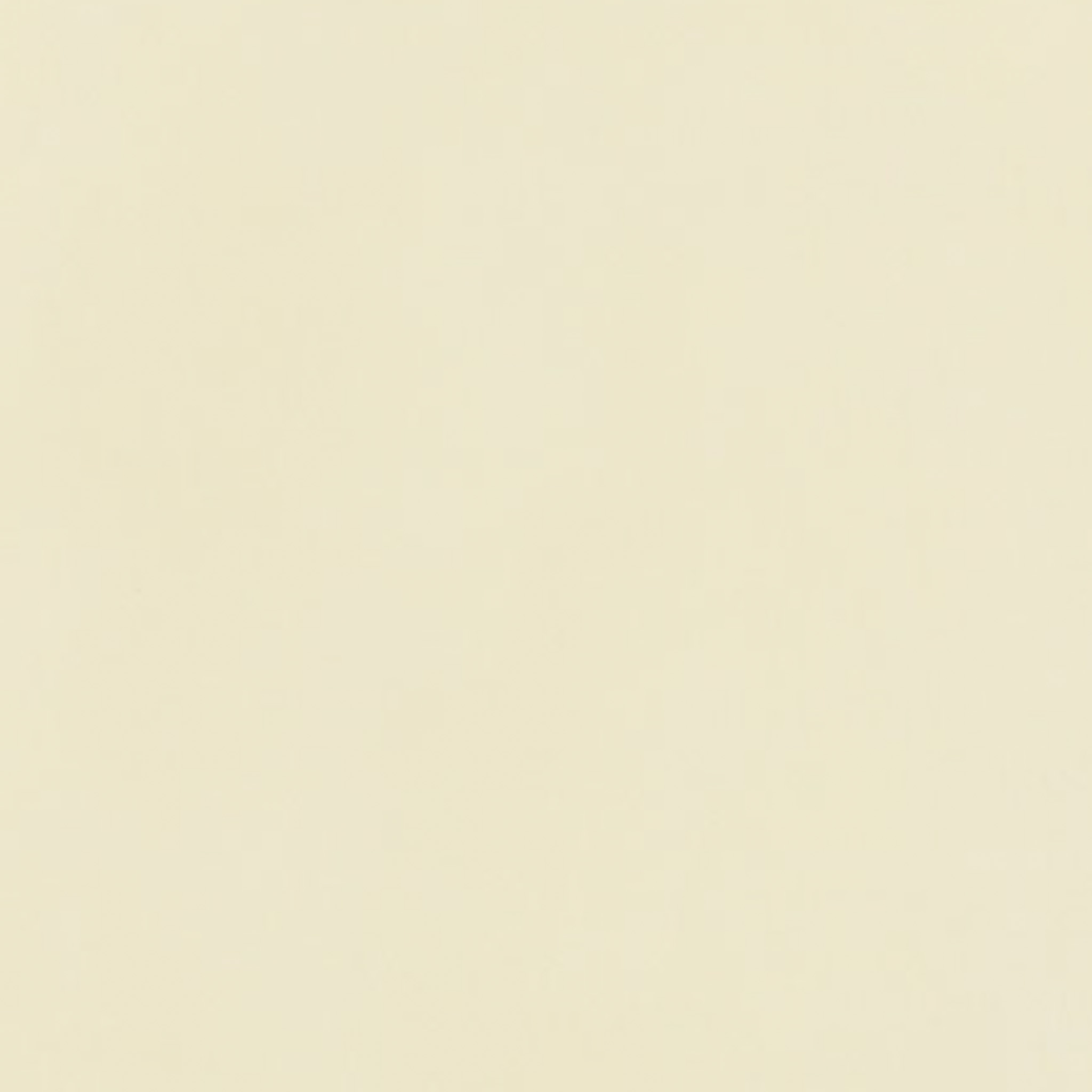 TOGIDASHI 左官材料 FT08