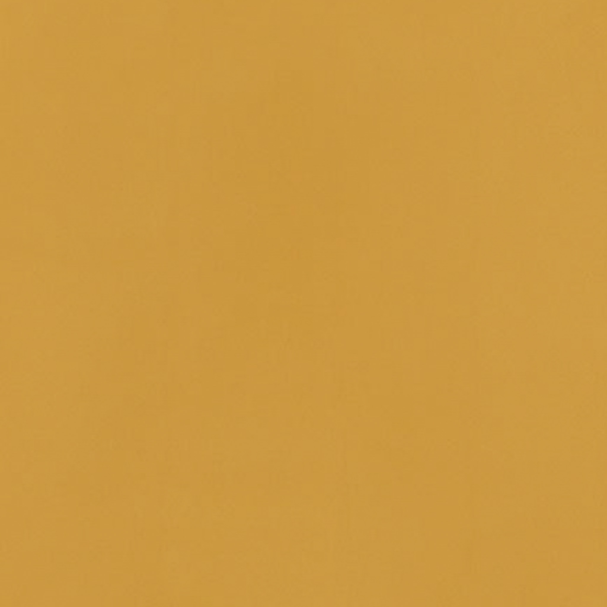 TOGIDASHI 左官材料 FT09