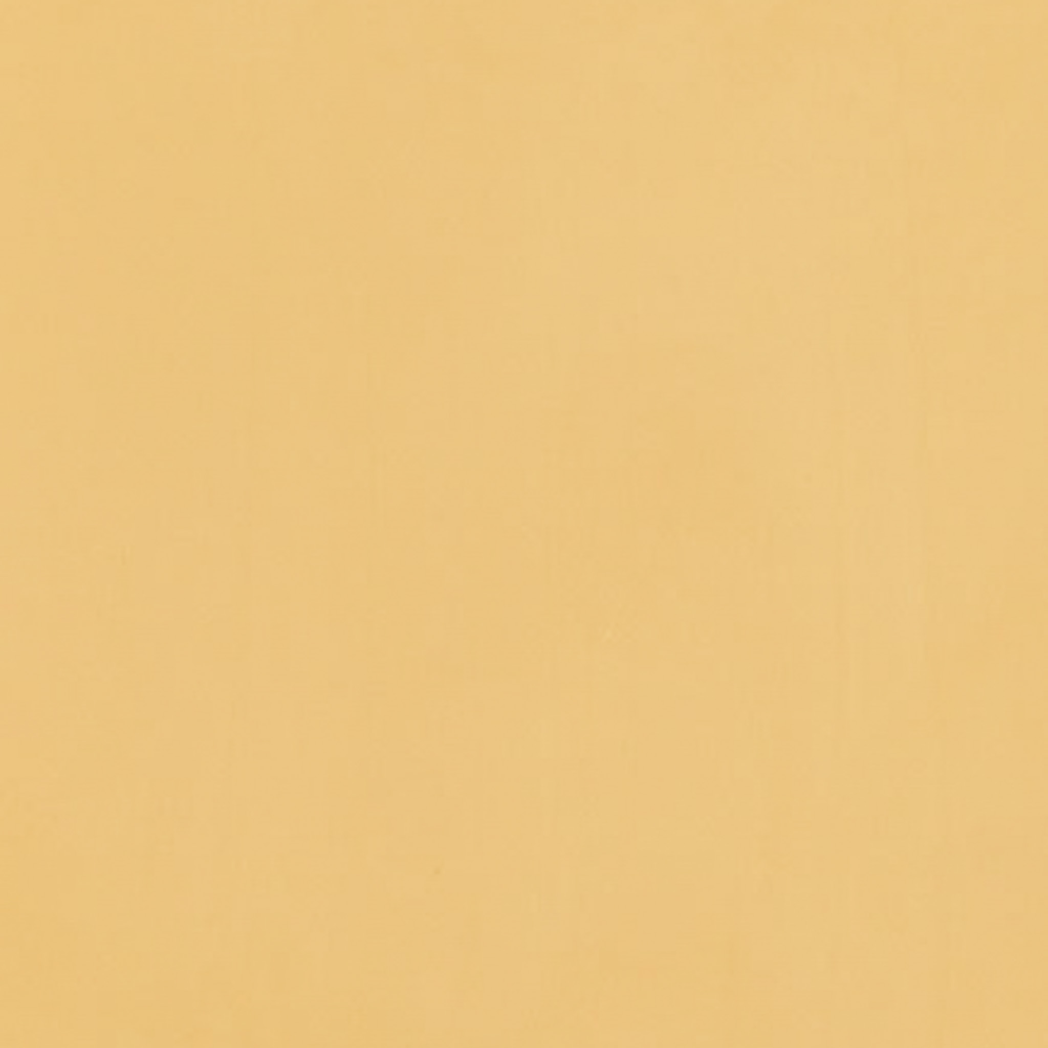 TOGIDASHI 左官材料 FT11