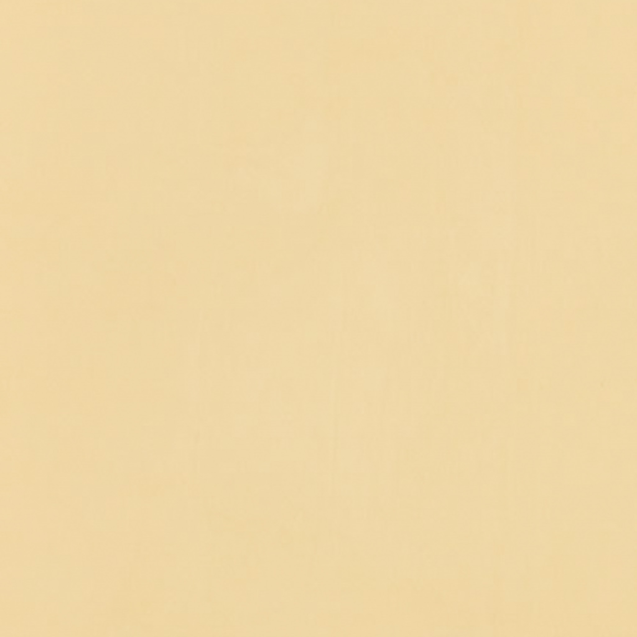 TOGIDASHI 左官材料 FT12