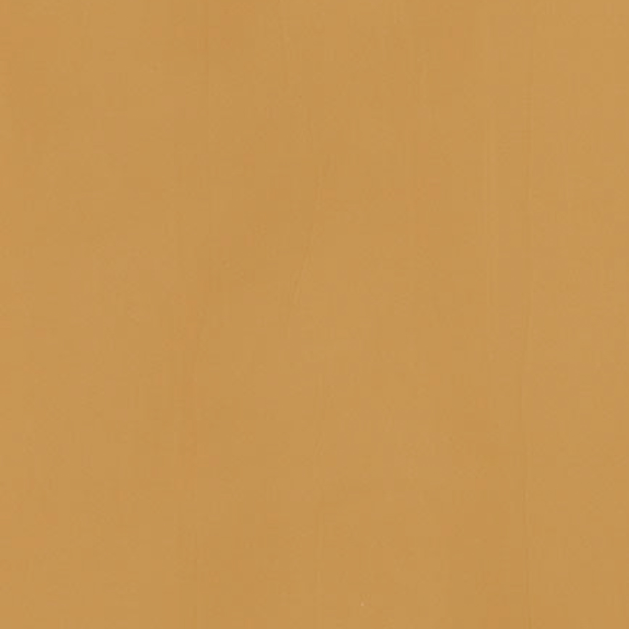 TOGIDASHI 左官材料 FT14