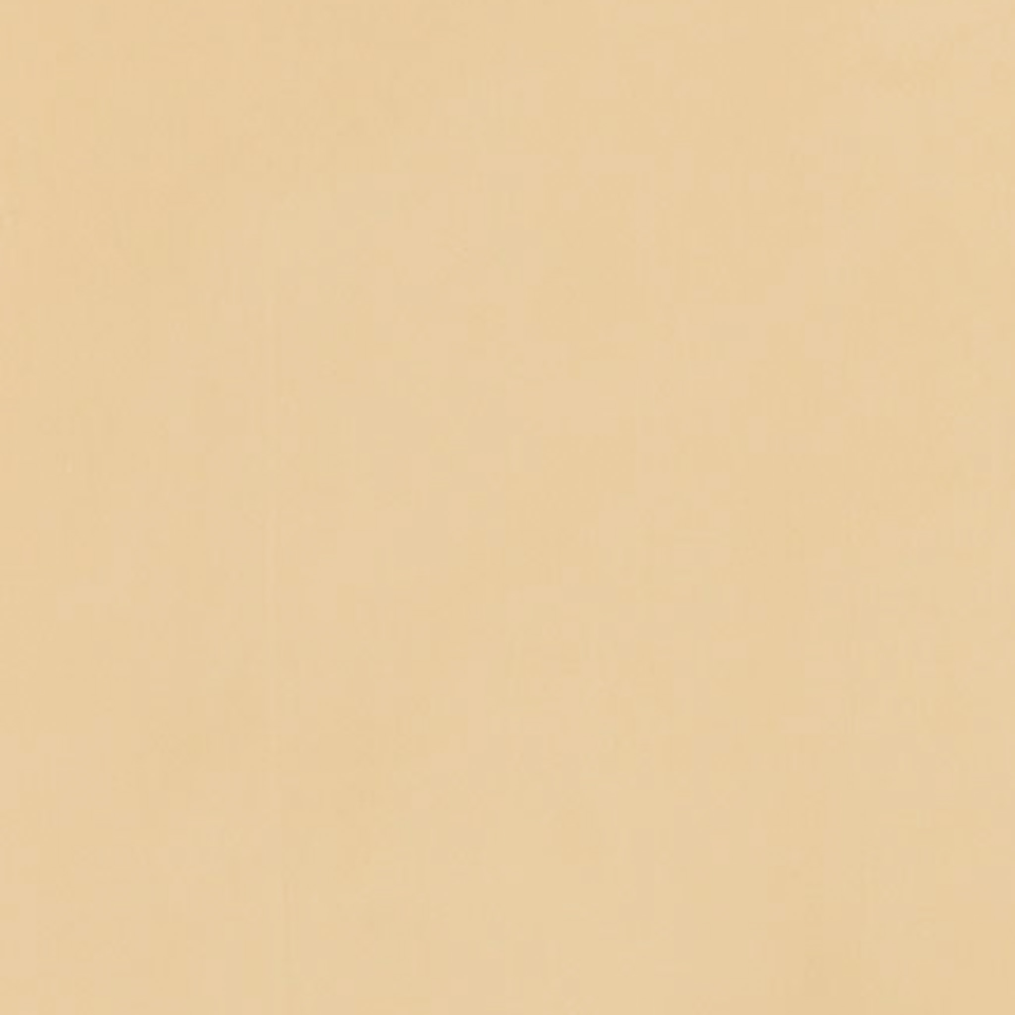 TOGIDASHI 左官材料 FT16