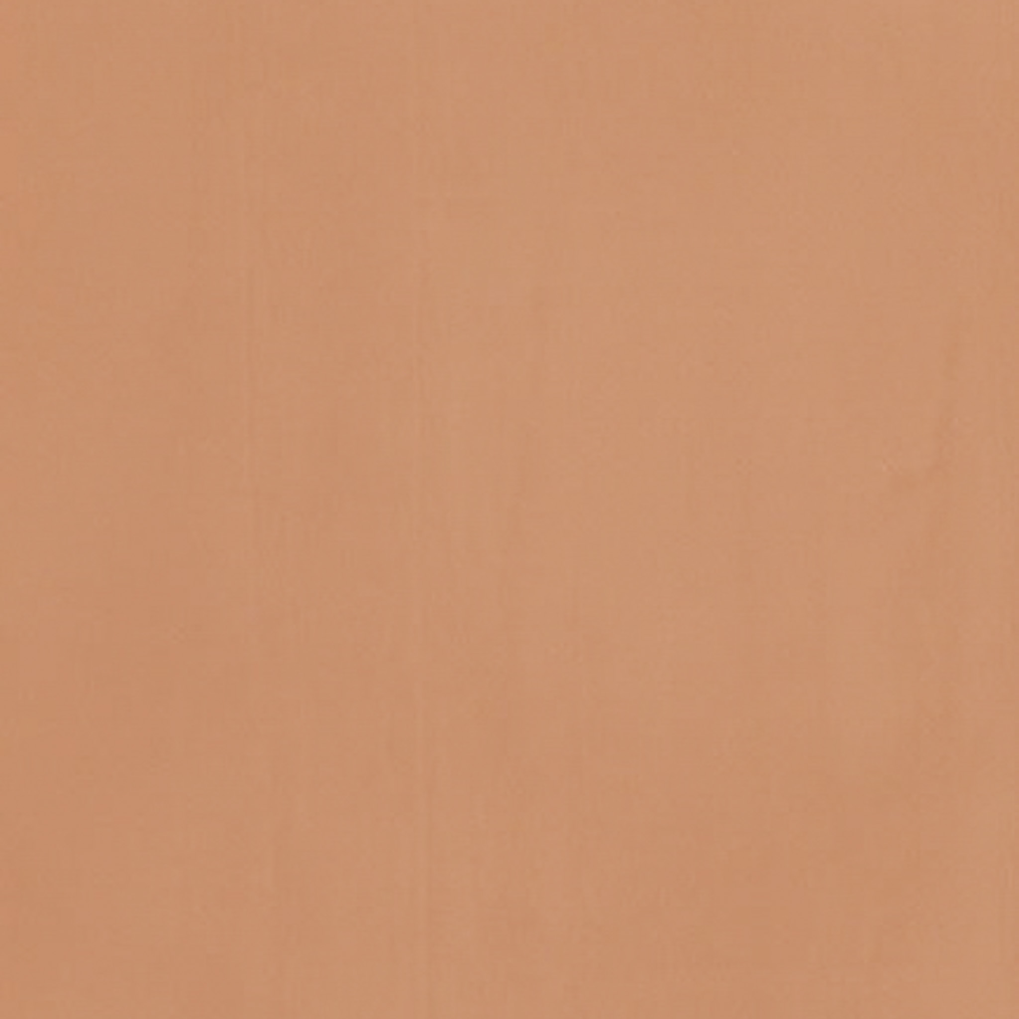 TOGIDASHI 左官材料 FT19