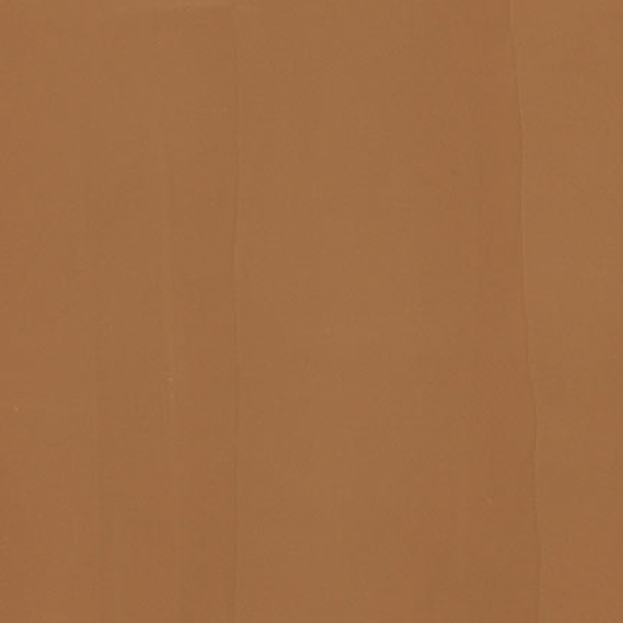 TOGIDASHI 左官材料 FT21