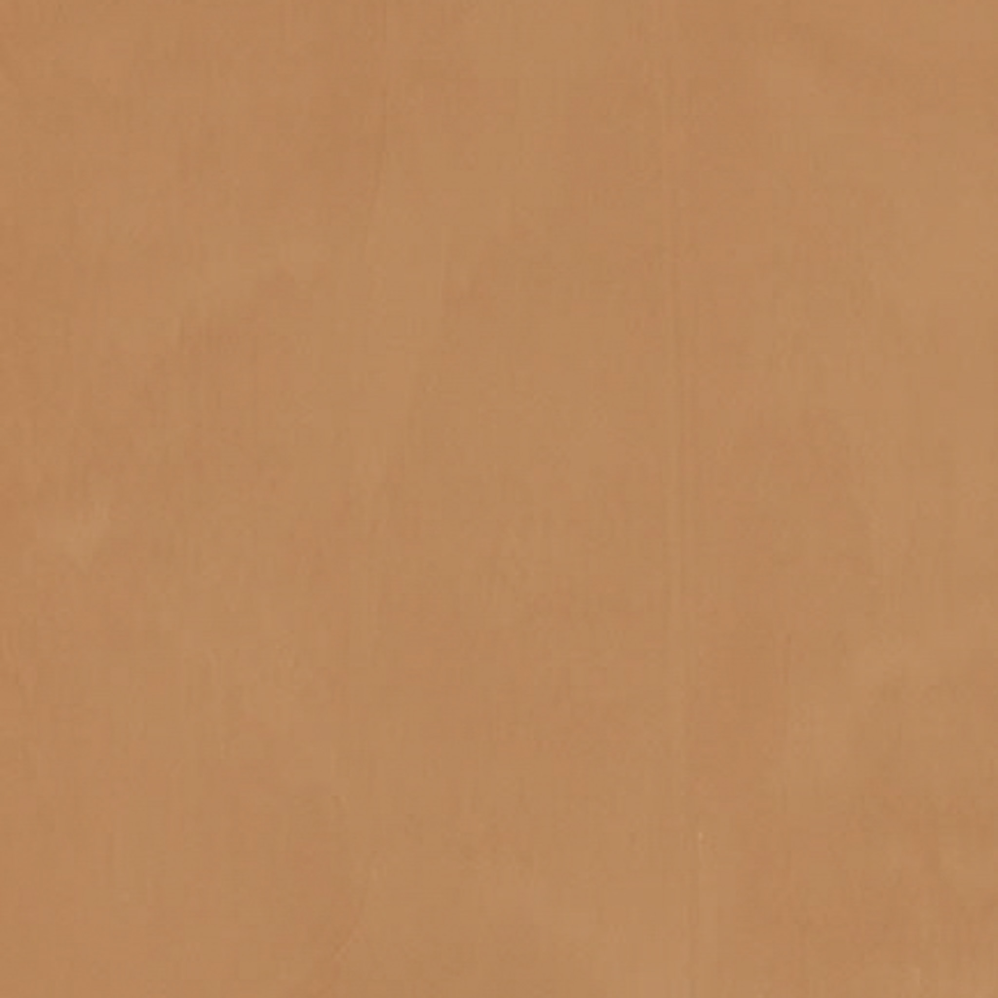 TOGIDASHI 左官材料 FT22