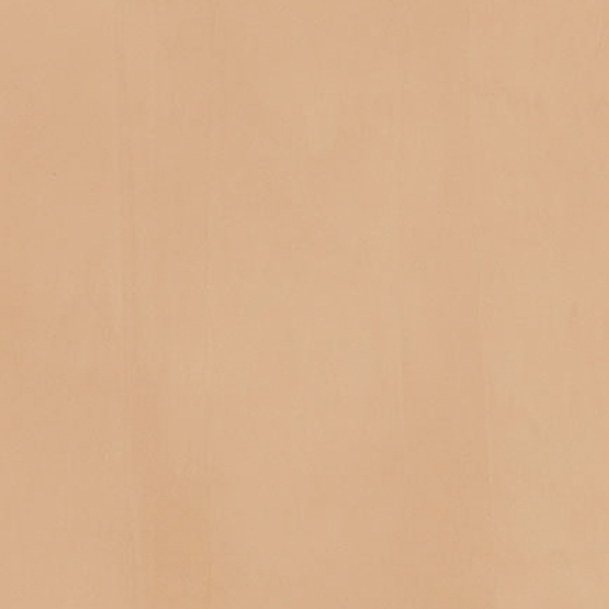 TOGIDASHI 左官材料 FT23