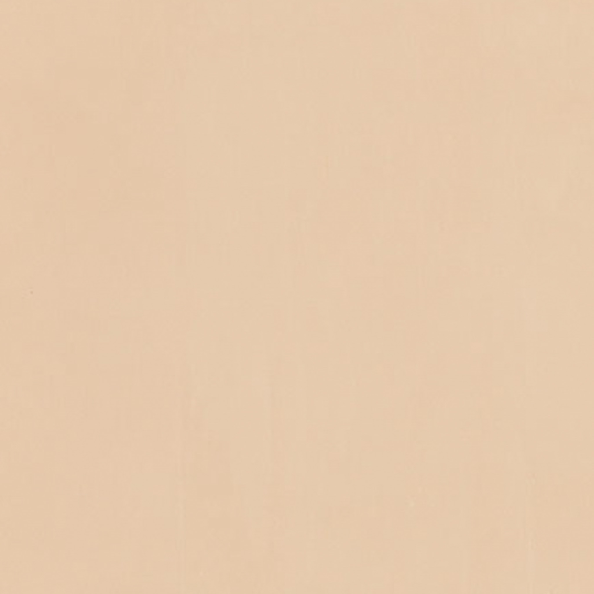 TOGIDASHI 左官材料 FT24