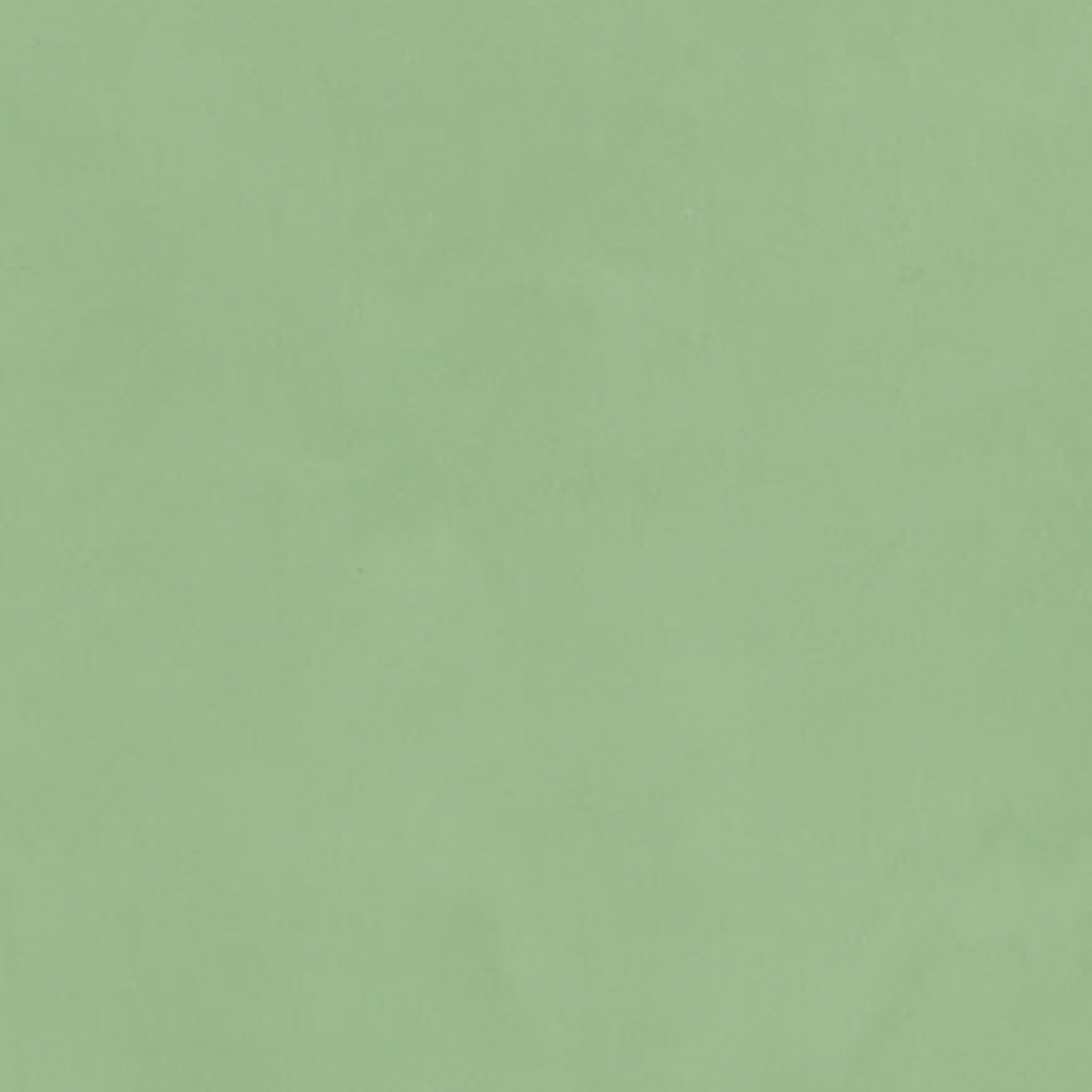 TOGIDASHI 左官材料 FT55