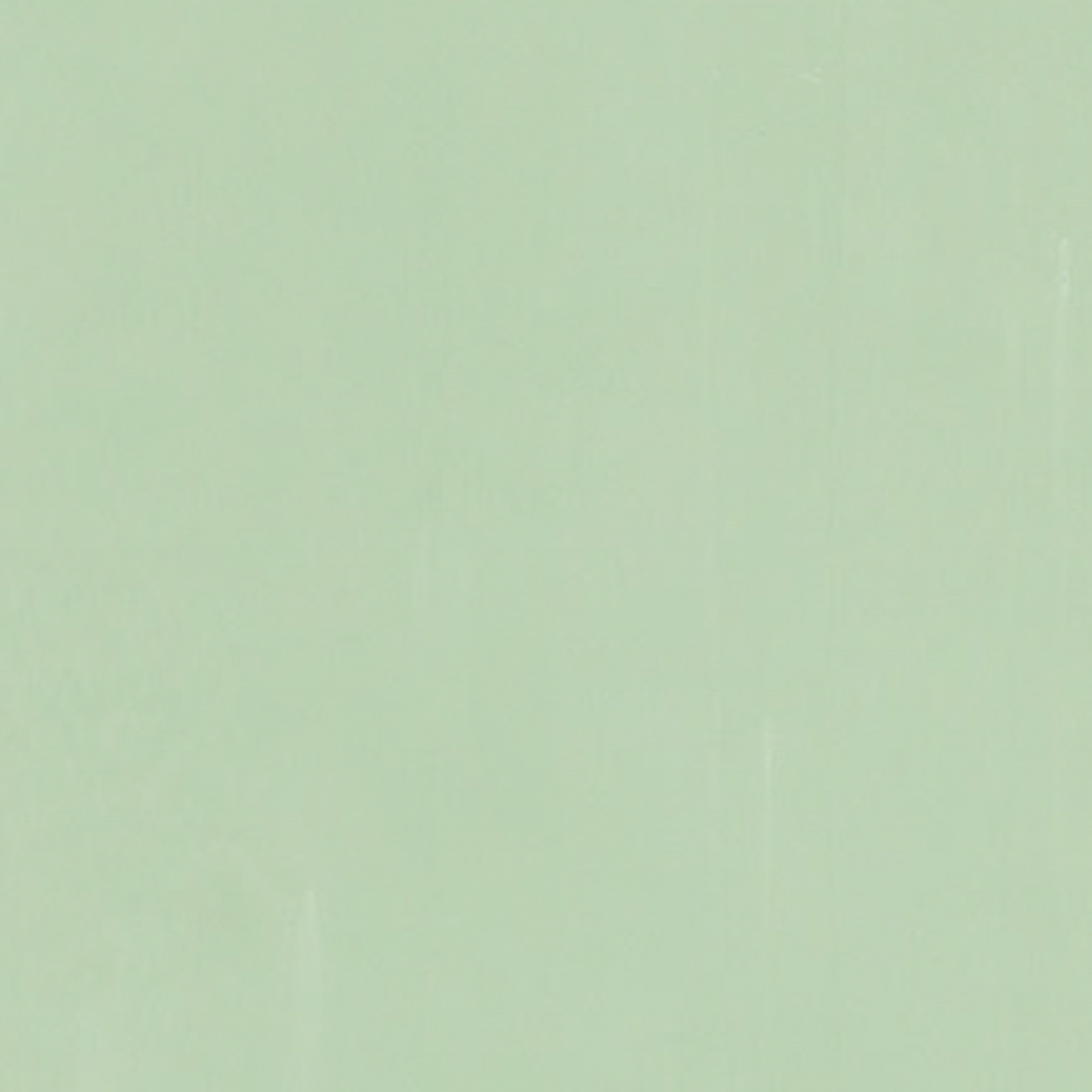 TOGIDASHI 左官材料 FT56