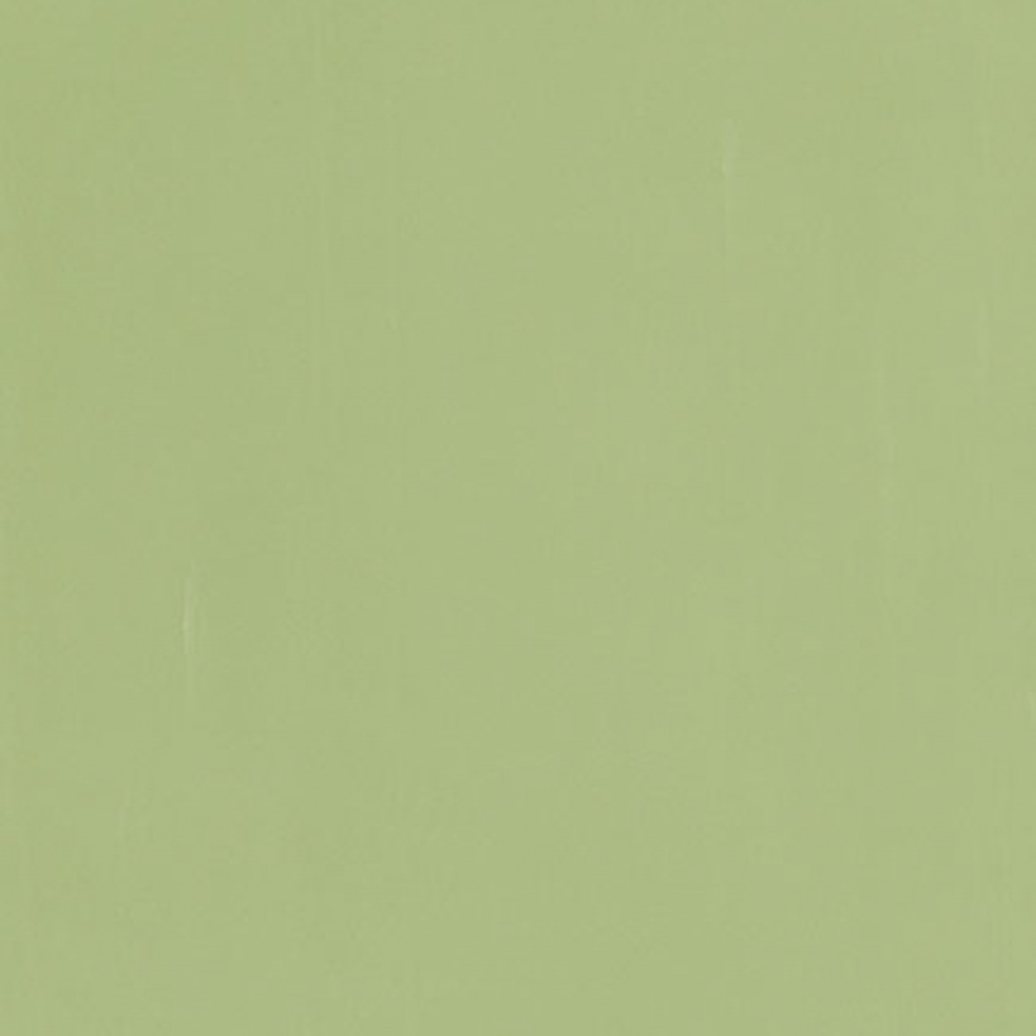 TOGIDASHI 左官材料 FT58