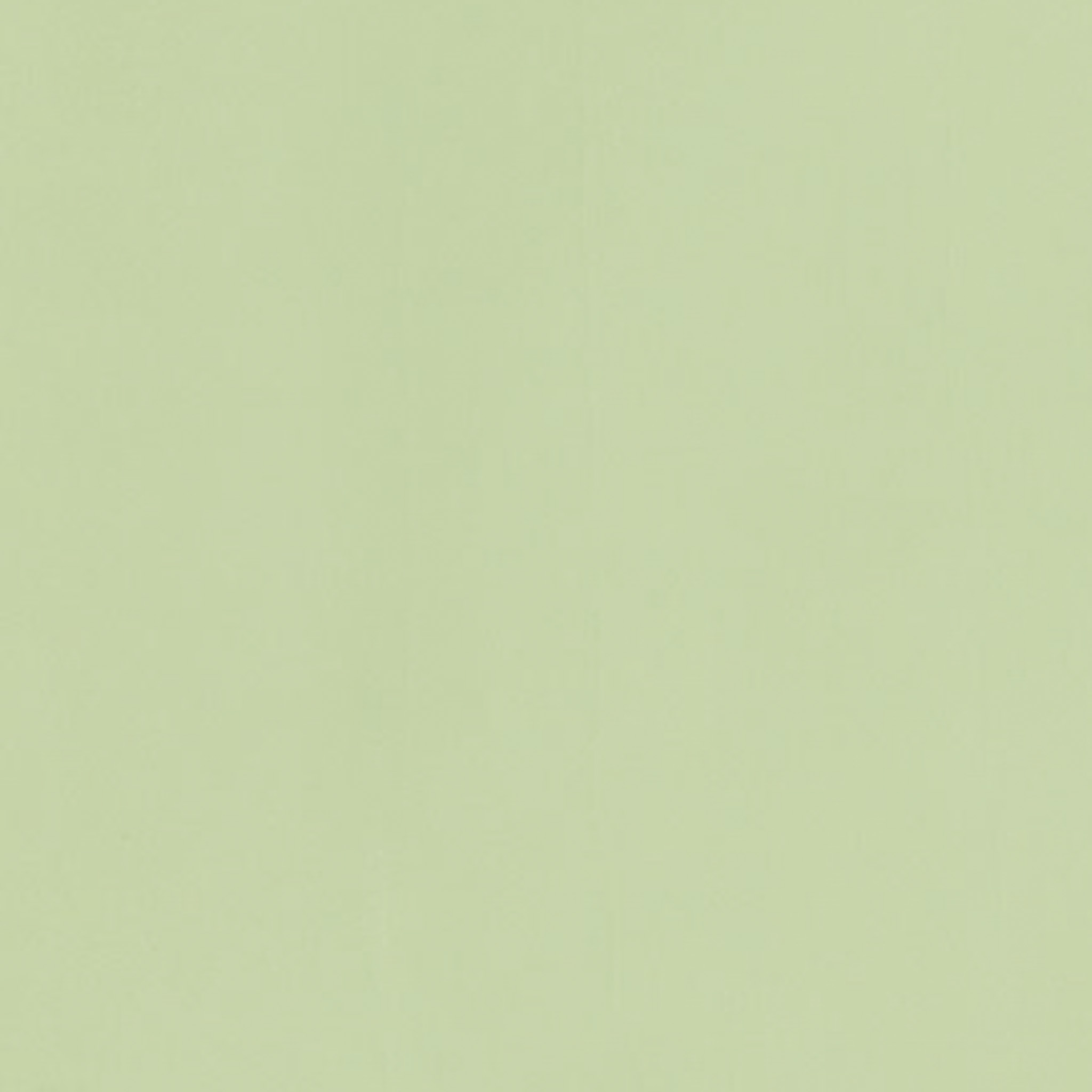 TOGIDASHI 左官材料 FT59