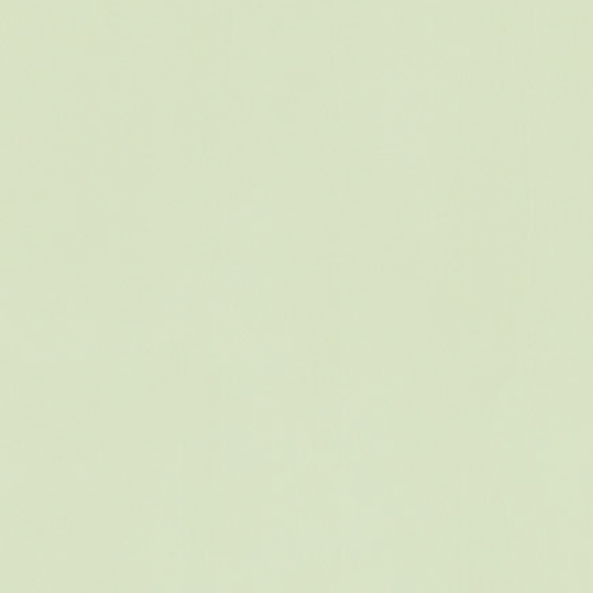 TOGIDASHI 左官材料 FT60