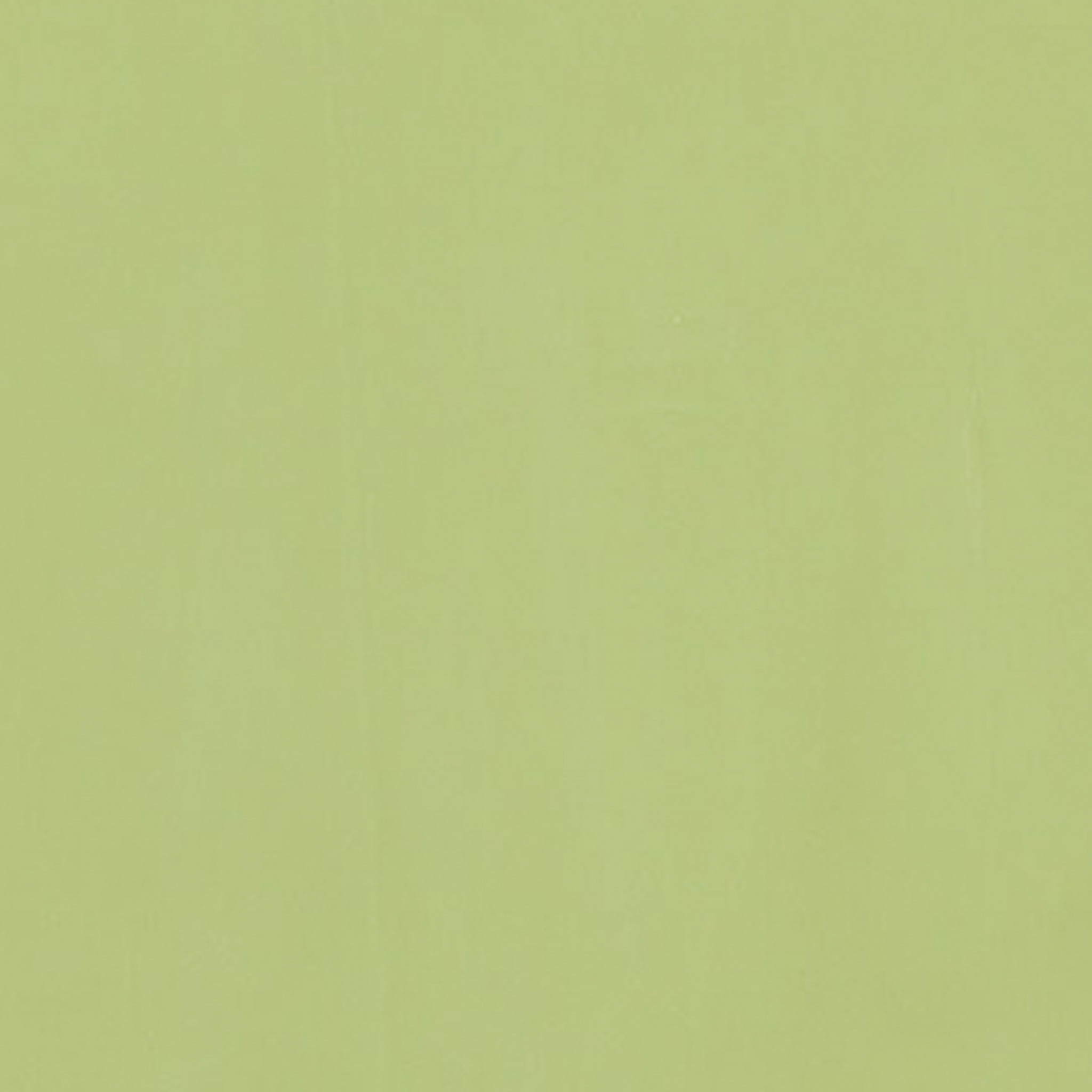 TOGIDASHI 左官材料 FT63