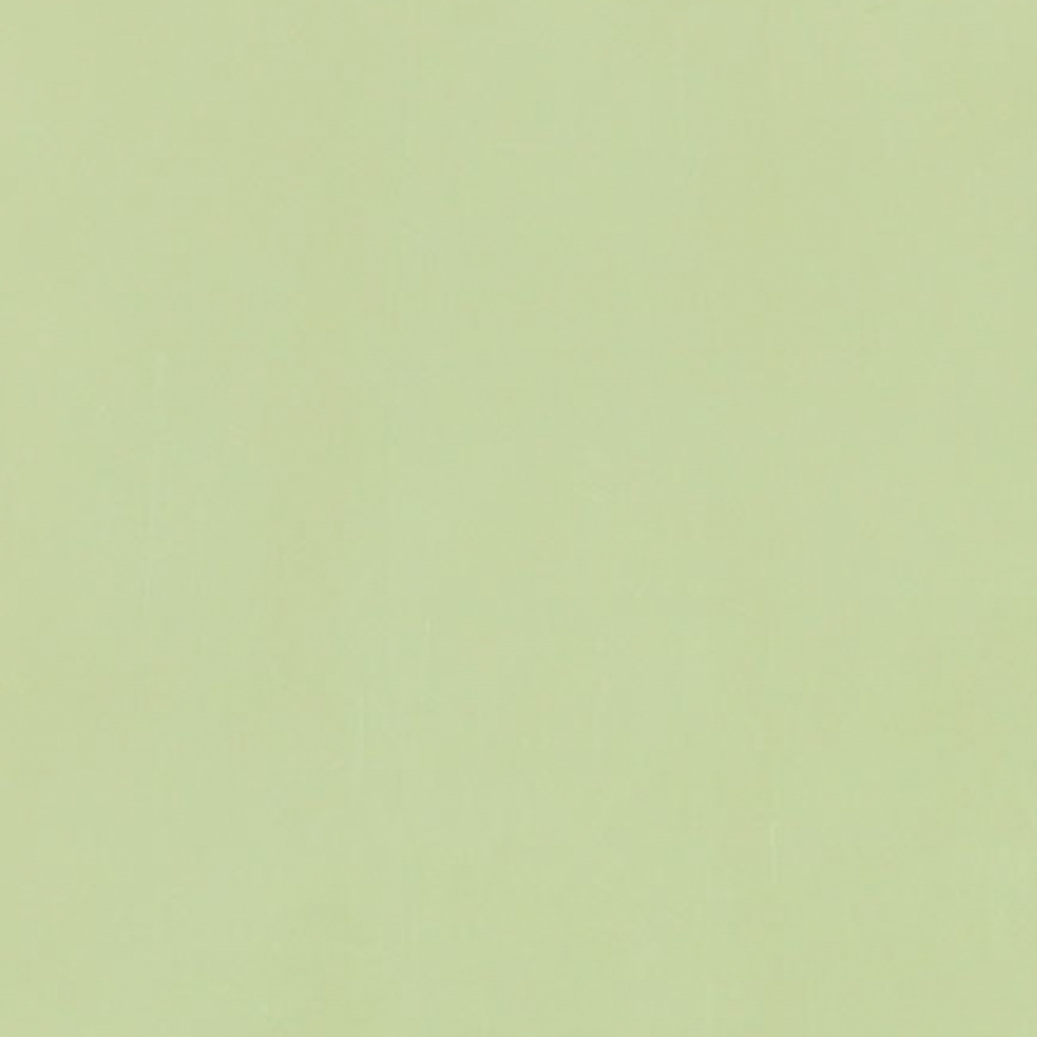 TOGIDASHI 左官材料 FT64